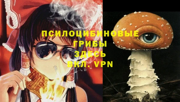стафф Пересвет
