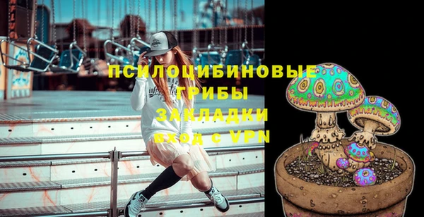 экстази Покачи
