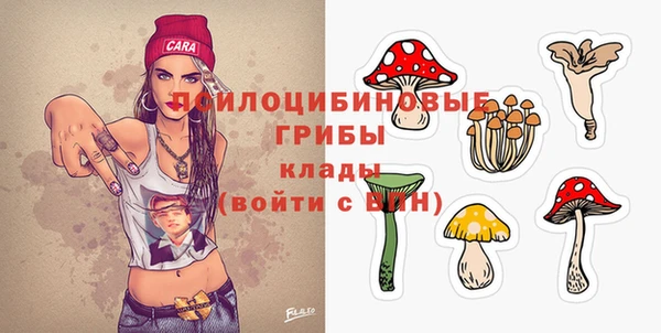 СК Переславль-Залесский